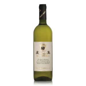 Chardonnay Bianco Curtefranca DOC