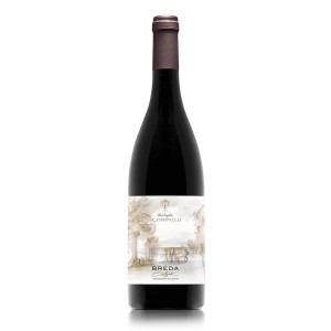 Breda Curtefranca Red Barricaded Riserva 2015 DOC