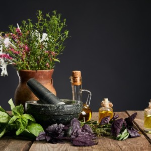 19 Mat 2025 Foraged Cuisine and Elegant Pairings Showcooking