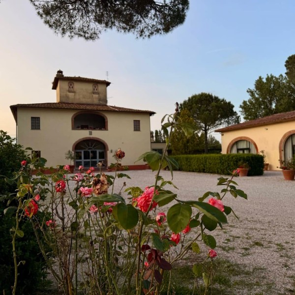 Exterior Podere degli Olmi 