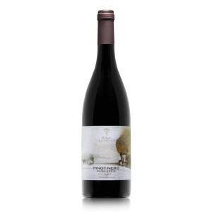 Guido Costa Pinot Nero Sebino IGT