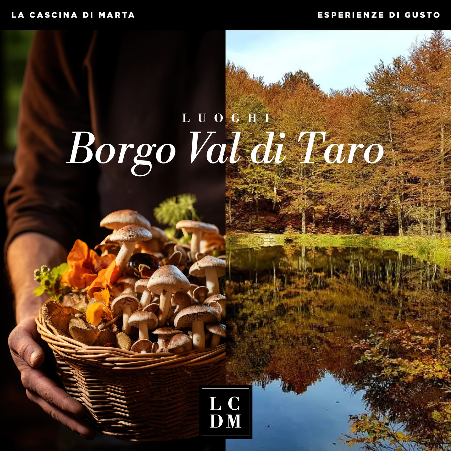 Borgo Val di Taro e il suo fungo porcino IGP