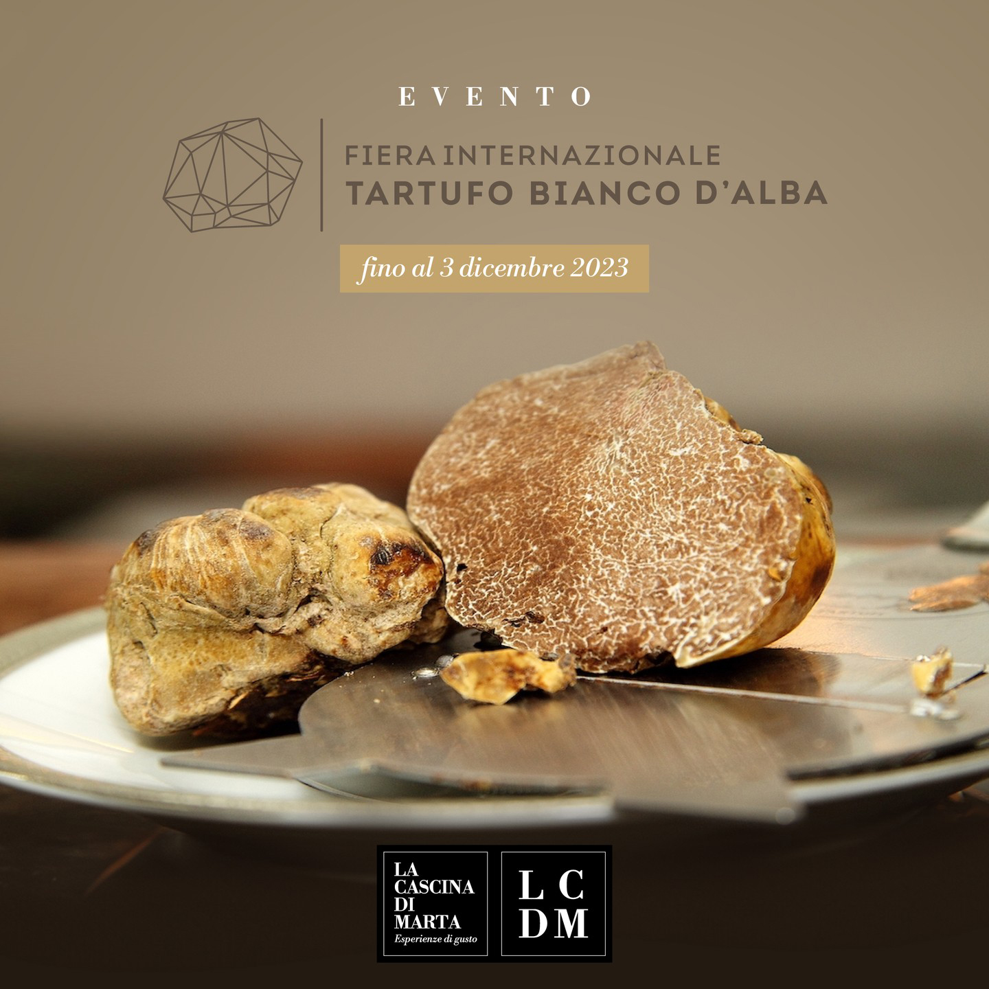 La fiera del tartufo bianco d'Alba: un evento imperdibile per gli amanti del gusto